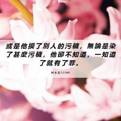 Picture 06 - 利 未 記 5:3 CUVT - 或 是 他 摸 了 別 人 的 污 穢 ， 無 - Bible Verse Picture