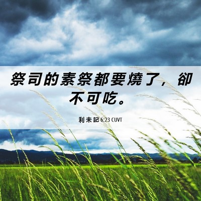 Picture 06 - 利 未 記 6:23 CUVT - 祭 司 的 素 祭 都 要 燒 了 ， 卻 不 - Bible Verse Picture