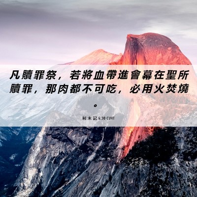 Picture 06 - 利 未 記 6:30 CUVT - 凡 贖 罪 祭 ， 若 將 血 帶 進 會 幕 - Bible Verse Picture