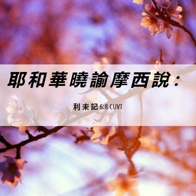 Picture 06 - 利 未 記 6:8 CUVT - 耶 和 華 曉 諭 摩 西 說 - Bible Verse Picture