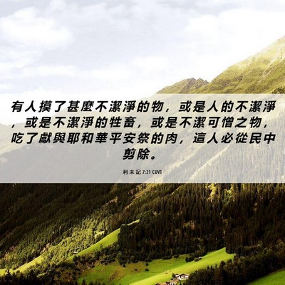 Picture 06 - 利 未 記 7:21 CUVT - 有 人 摸 了 甚 麼 不 潔 淨 的 物 ， - Bible Verse Picture