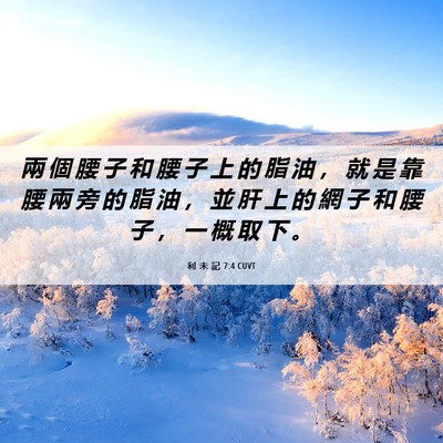 Picture 06 - 利 未 記 7:4 CUVT - 兩 個 腰 子 和 腰 子 上 的 脂 油 ， - Bible Verse Picture