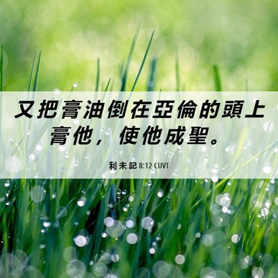 Picture 06 - 利 未 記 8:12 CUVT - 又 把 膏 油 倒 在 亞 倫 的 頭 上 膏 - Bible Verse Picture