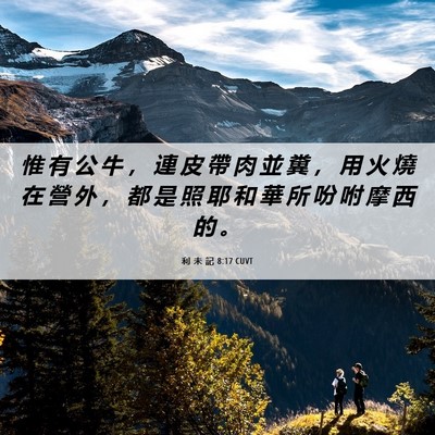 Picture 06 - 利 未 記 8:17 CUVT - 惟 有 公 牛 ， 連 皮 帶 肉 並 糞 ， - Bible Verse Picture