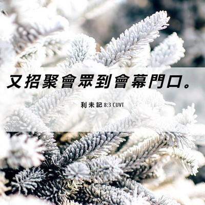 Picture 06 - 利 未 記 8:3 CUVT - 又 招 聚 會 眾 到 會 幕 門 口 - Bible Verse Picture