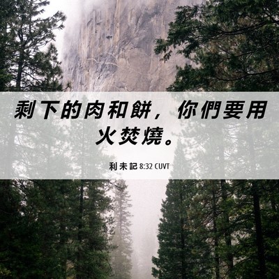 Picture 06 - 利 未 記 8:32 CUVT - 剩 下 的 肉 和 餅 ， 你 們 要 用 火 - Bible Verse Picture