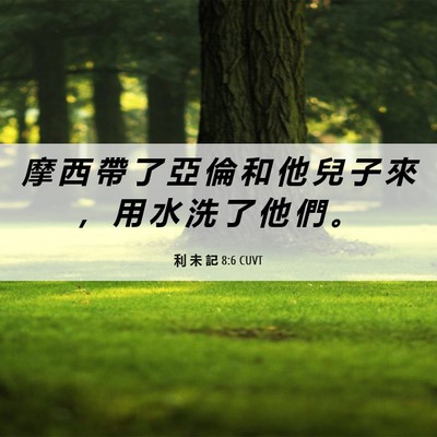 Picture 06 - 利 未 記 8:6 CUVT - 摩 西 帶 了 亞 倫 和 他 兒 子 來 ， - Bible Verse Picture