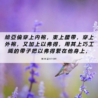 Picture 06 - 利 未 記 8:7 CUVT - 給 亞 倫 穿 上 內 袍 ， 束 上 腰 帶 - Bible Verse Picture