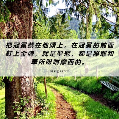 Picture 06 - 利 未 記 8:9 CUVT - 把 冠 冕 戴 在 他 頭 上 ， 在 冠 冕 - Bible Verse Picture