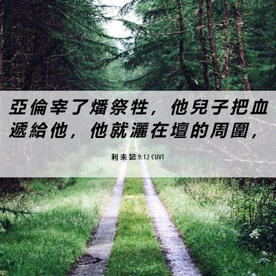 Picture 06 - 利 未 記 9:12 CUVT - 亞 倫 宰 了 燔 祭 牲 ， 他 兒 子 把 - Bible Verse Picture
