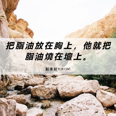 Picture 06 - 利 未 記 9:20 CUVT - 把 脂 油 放 在 胸 上 ， 他 就 把 脂 - Bible Verse Picture