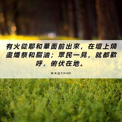 Picture 06 - 利 未 記 9:24 CUVT - 有 火 從 耶 和 華 面 前 出 來 ， 在 - Bible Verse Picture