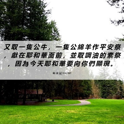 Picture 06 - 利 未 記 9:4 CUVT - 又 取 一 隻 公 牛 ， 一 隻 公 綿 羊 - Bible Verse Picture