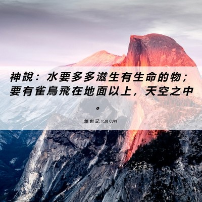 Picture 06 - 創 世 記 1:20 CUVT - 神 說 ： 水 要 多 多 滋 生 有 生 命 - Bible Verse Picture