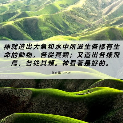 Picture 06 - 創 世 記 1:21 CUVT - 神 就 造 出 大 魚 和 水 中 所 滋 生 - Bible Verse Picture
