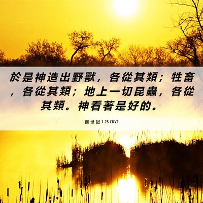 Picture 06 - 創 世 記 1:25 CUVT - 於 是 神 造 出 野 獸 ， 各 從 其 類 - Bible Verse Picture