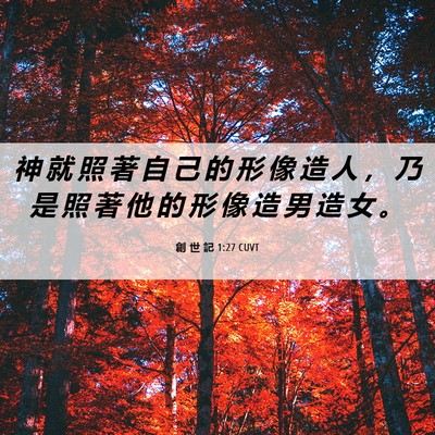 Picture 06 - 創 世 記 1:27 CUVT - 神 就 照 著 自 己 的 形 像 造 人 ， - Bible Verse Picture
