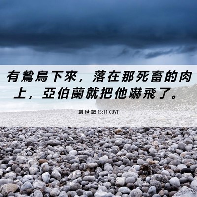 Picture 06 - 創 世 記 15:11 CUVT - 有 鷙 鳥 下 來 ， 落 在 那 死 畜 的 - Bible Verse Picture