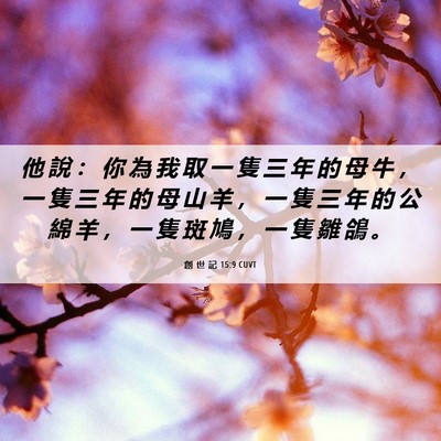 Picture 06 - 創 世 記 15:9 CUVT - 他 說 ： 你 為 我 取 一 隻 三 年 的 - Bible Verse Picture