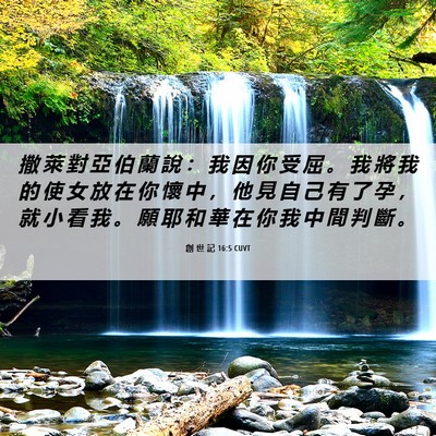 Picture 06 - 創 世 記 16:5 CUVT - 撒 萊 對 亞 伯 蘭 說 ： 我 因 你 受 - Bible Verse Picture