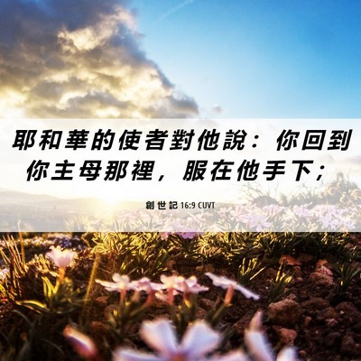 Picture 06 - 創 世 記 16:9 CUVT - 耶 和 華 的 使 者 對 他 說 ： 你 回 - Bible Verse Picture