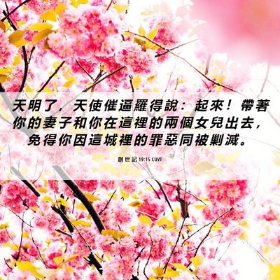 Picture 06 - 創 世 記 19:15 CUVT - 天 明 了 ， 天 使 催 逼 羅 得 說 ： - Bible Verse Picture