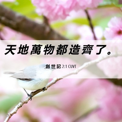 Picture 06 - 創 世 記 2:1 CUVT - 天 地 萬 物 都 造 齊 了 - Bible Verse Picture