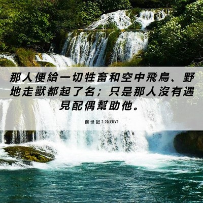 Picture 06 - 創 世 記 2:20 CUVT - 那 人 便 給 一 切 牲 畜 和 空 中 飛 - Bible Verse Picture