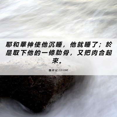 Picture 06 - 創 世 記 2:21 CUVT - 耶 和 華 神 使 他 沉 睡 ， 他 就 睡 - Bible Verse Picture