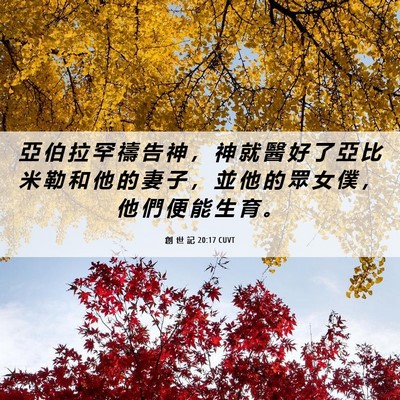 Picture 06 - 創 世 記 20:17 CUVT - 亞 伯 拉 罕 禱 告 神 ， 神 就 醫 好 - Bible Verse Picture