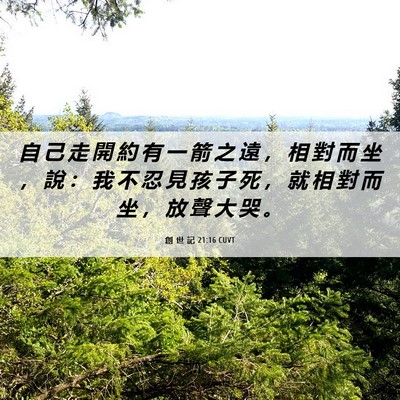 Picture 06 - 創 世 記 21:16 CUVT - 自 己 走 開 約 有 一 箭 之 遠 ， 相 - Bible Verse Picture