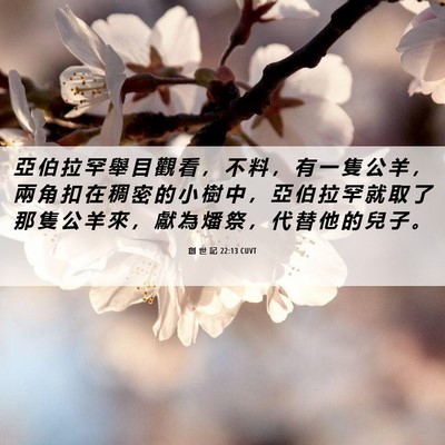 Picture 06 - 創 世 記 22:13 CUVT - 亞 伯 拉 罕 舉 目 觀 看 ， 不 料 ， - Bible Verse Picture