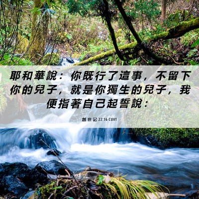 Picture 06 - 創 世 記 22:16 CUVT - 耶 和 華 說 ： 你 既 行 了 這 事 ， - Bible Verse Picture