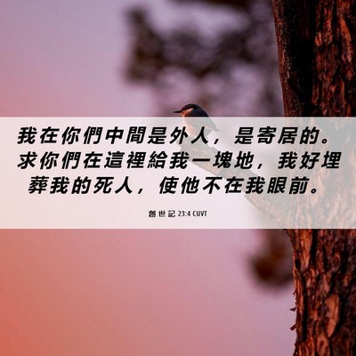 Picture 06 - 創 世 記 23:4 CUVT - 我 在 你 們 中 間 是 外 人 ， 是 寄 - Bible Verse Picture