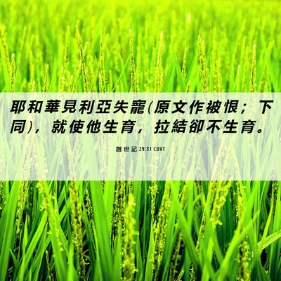Picture 06 - 創 世 記 29:31 CUVT - 耶 和 華 見 利 亞 失 寵 ( 原 文 作 被 - Bible Verse Picture
