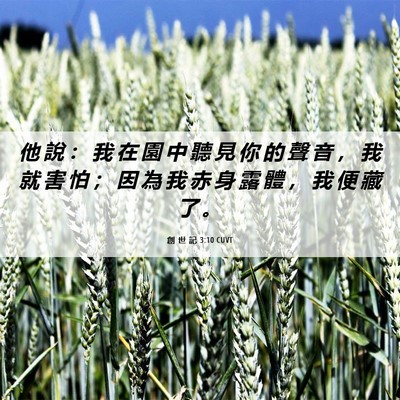 Picture 06 - 創 世 記 3:10 CUVT - 他 說 ： 我 在 園 中 聽 見 你 的 聲 - Bible Verse Picture