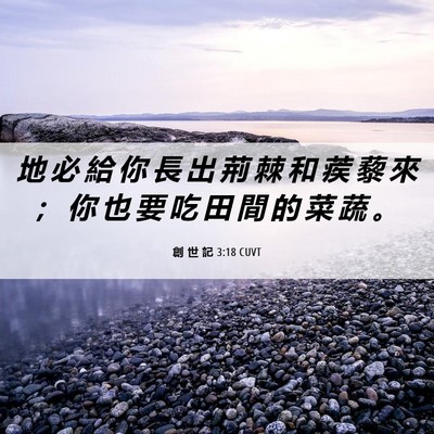 Picture 06 - 創 世 記 3:18 CUVT - 地 必 給 你 長 出 荊 棘 和 蒺 藜 來 - Bible Verse Picture