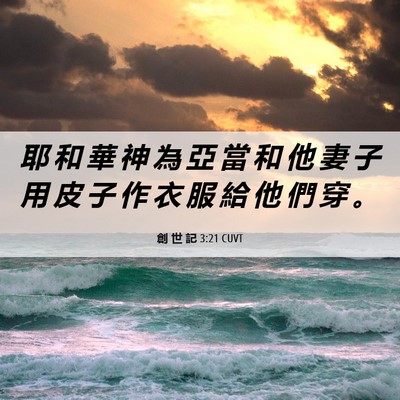Picture 06 - 創 世 記 3:21 CUVT - 耶 和 華 神 為 亞 當 和 他 妻 子 用 - Bible Verse Picture