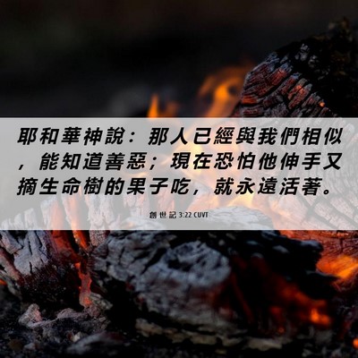 Picture 06 - 創 世 記 3:22 CUVT - 耶 和 華 神 說 ： 那 人 已 經 與 我 - Bible Verse Picture