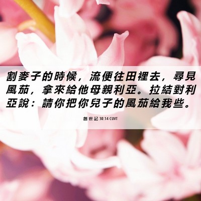 Picture 06 - 創 世 記 30:14 CUVT - 割 麥 子 的 時 候 ， 流 便 往 田 裡 - Bible Verse Picture