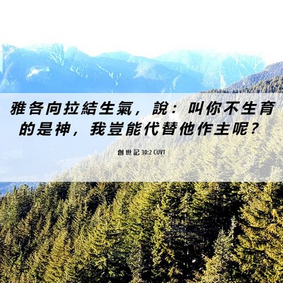 Picture 06 - 創 世 記 30:2 CUVT - 雅 各 向 拉 結 生 氣 ， 說 ： 叫 你 - Bible Verse Picture