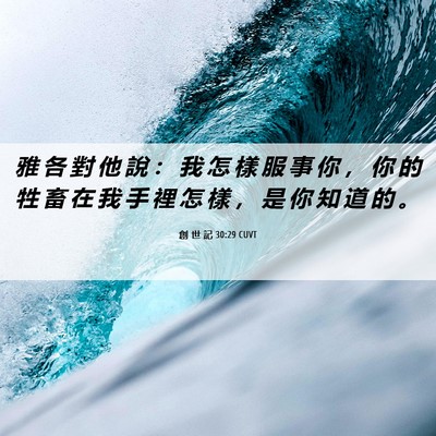 Picture 06 - 創 世 記 30:29 CUVT - 雅 各 對 他 說 ： 我 怎 樣 服 事 你 - Bible Verse Picture