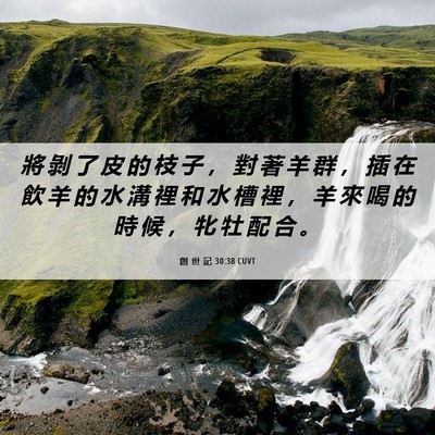 Picture 06 - 創 世 記 30:38 CUVT - 將 剝 了 皮 的 枝 子 ， 對 著 羊 群 - Bible Verse Picture