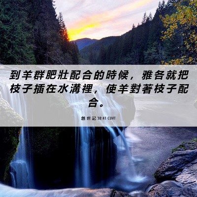 Picture 06 - 創 世 記 30:41 CUVT - 到 羊 群 肥 壯 配 合 的 時 候 ， 雅 - Bible Verse Picture