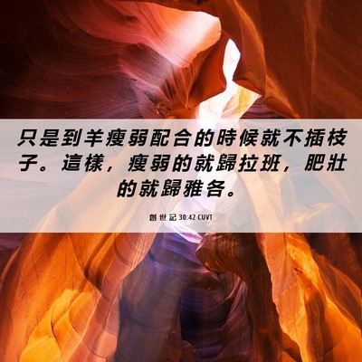 Picture 06 - 創 世 記 30:42 CUVT - 只 是 到 羊 瘦 弱 配 合 的 時 候 就 - Bible Verse Picture