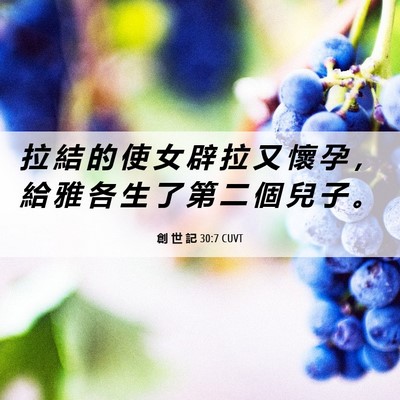 Picture 06 - 創 世 記 30:7 CUVT - 拉 結 的 使 女 辟 拉 又 懷 孕 ， 給 - Bible Verse Picture