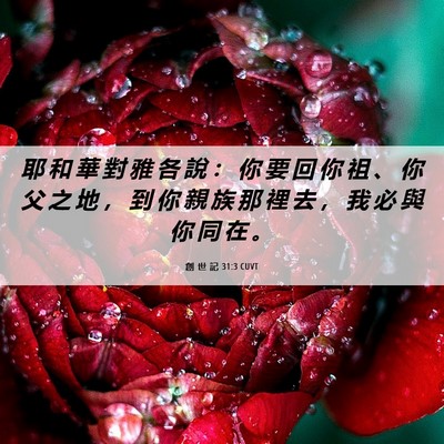 Picture 06 - 創 世 記 31:3 CUVT - 耶 和 華 對 雅 各 說 ： 你 要 回 你 - Bible Verse Picture