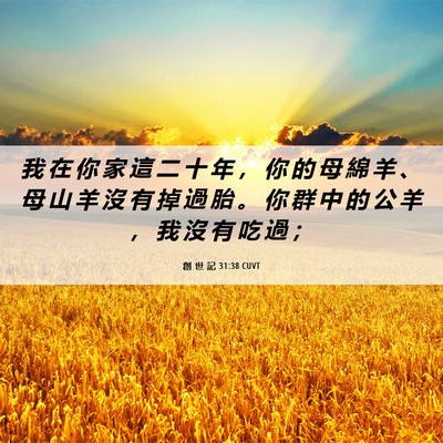 Picture 06 - 創 世 記 31:38 CUVT - 我 在 你 家 這 二 十 年 ， 你 的 母 - Bible Verse Picture