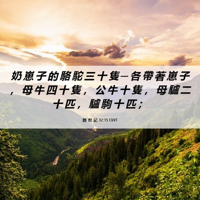 Picture 06 - 創 世 記 32:15 CUVT - 奶 崽 子 的 駱 駝 三 十 隻 ─ 各 帶 - Bible Verse Picture