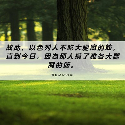 Picture 06 - 創 世 記 32:32 CUVT - 故 此 ， 以 色 列 人 不 吃 大 腿 窩 - Bible Verse Picture